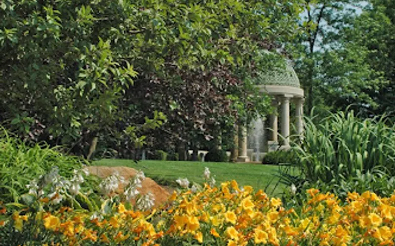 Rusty Oak Nursery, Ltd. — Wholesale plant nursery