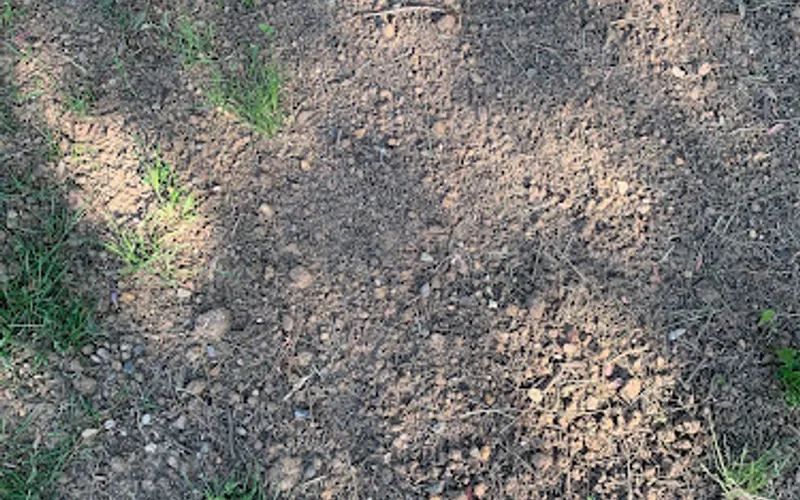 Chatham Stone & Earth Products — Landscaping supply store