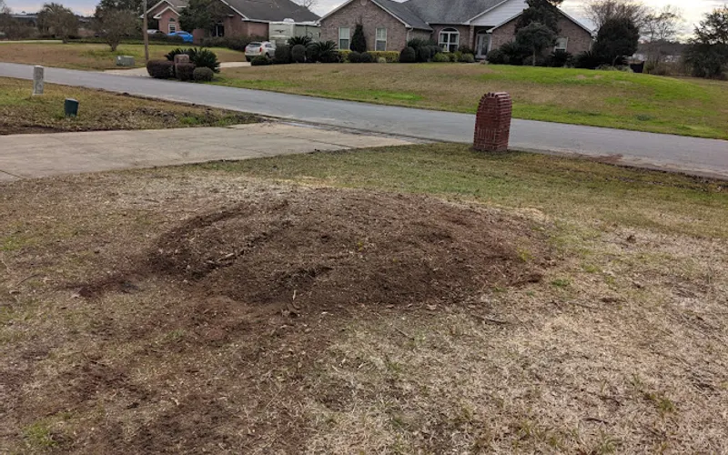 Payneless Tree Removal LLC — Tree service