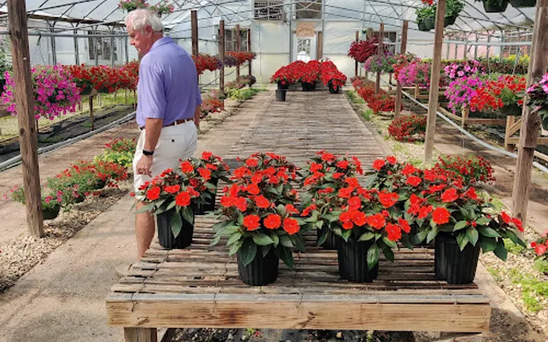 Plant World of Beauregard — Garden center