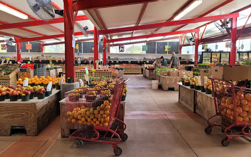 Rorabeck's Plants & Produce Inc — Produce market