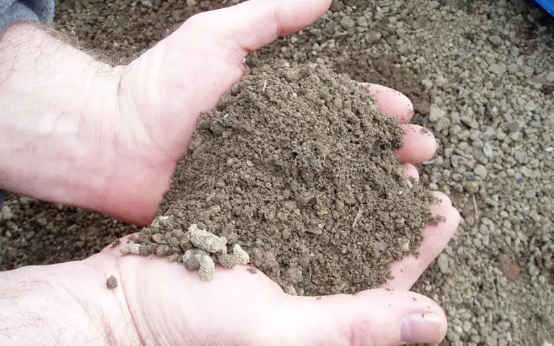 Mr Yard, Inc. — Topsoil supplier