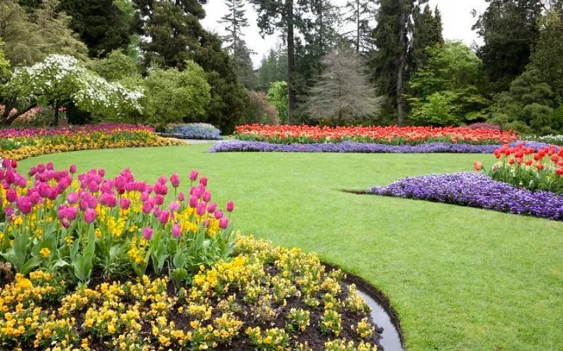 NJ Lawn Management — Landscaper