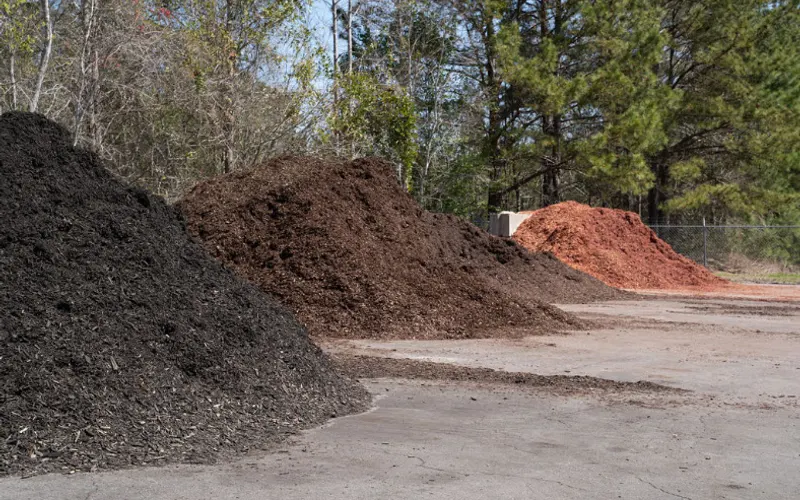 Modern Turf Sod & Landscape Supply — Turf supplier