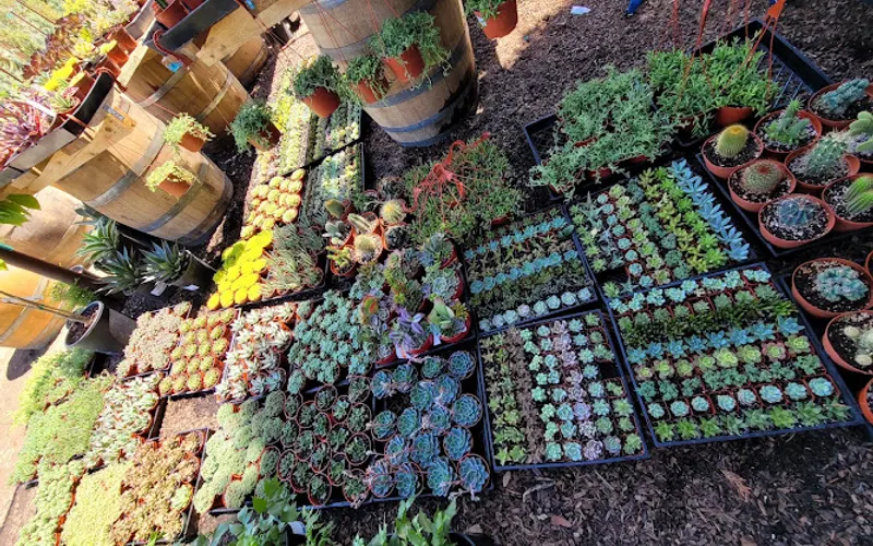 Sunset Nursery — Plant nursery