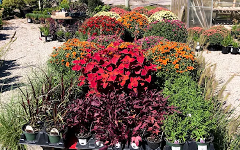 Carbajal's Garden Center — Garden center