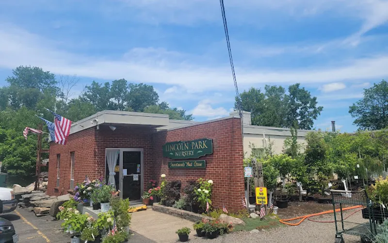 Lincoln Park Nursery Trees & Shrubs — Plant nursery