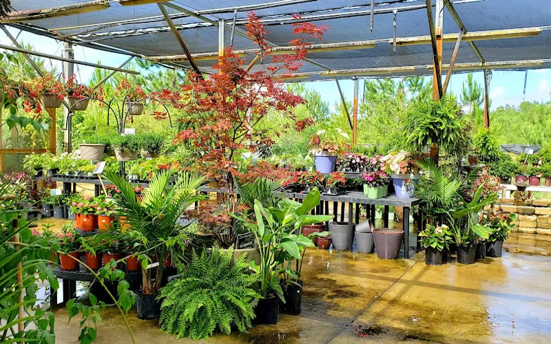 Hagan Ace Garden Center — Garden center