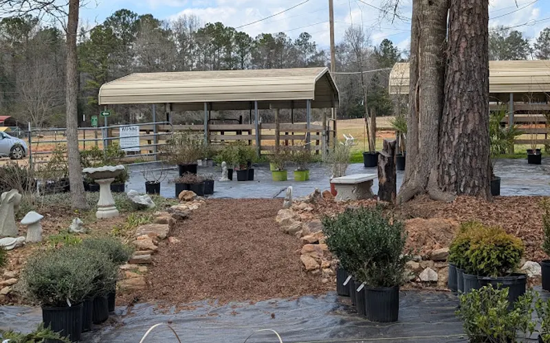 Family Roots Nursery and Garden Center — Plant nursery