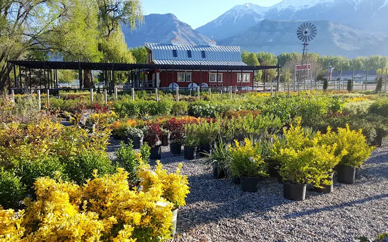 Linden Nursery — Plant nursery