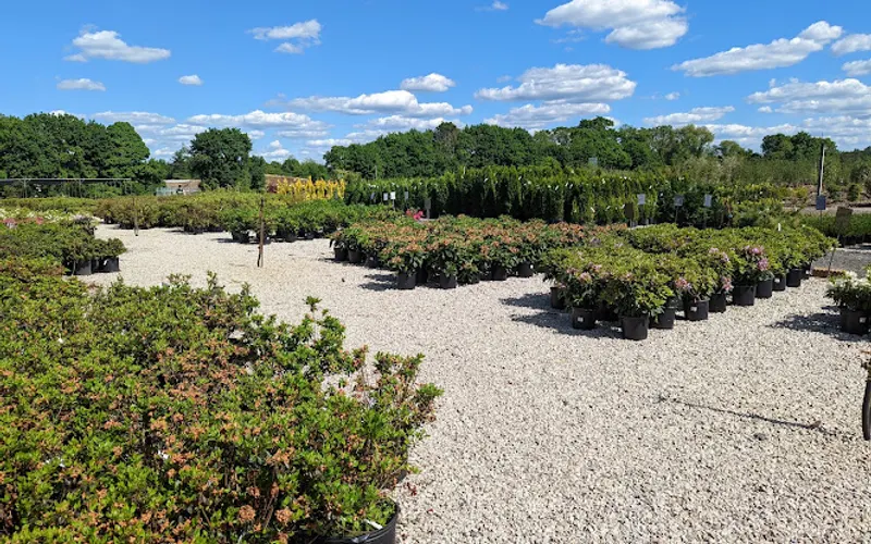 Bigelow Nurseries — Garden center