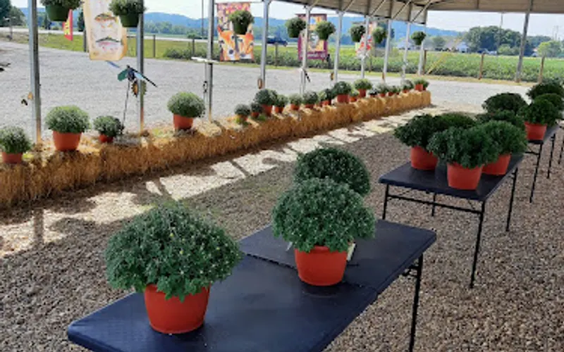 Southpaw Carvings Decor & Mulch More LLC. — Landscaping supply store