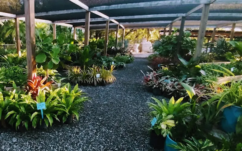 DIGG Gardens Plant Shop — Landscaper