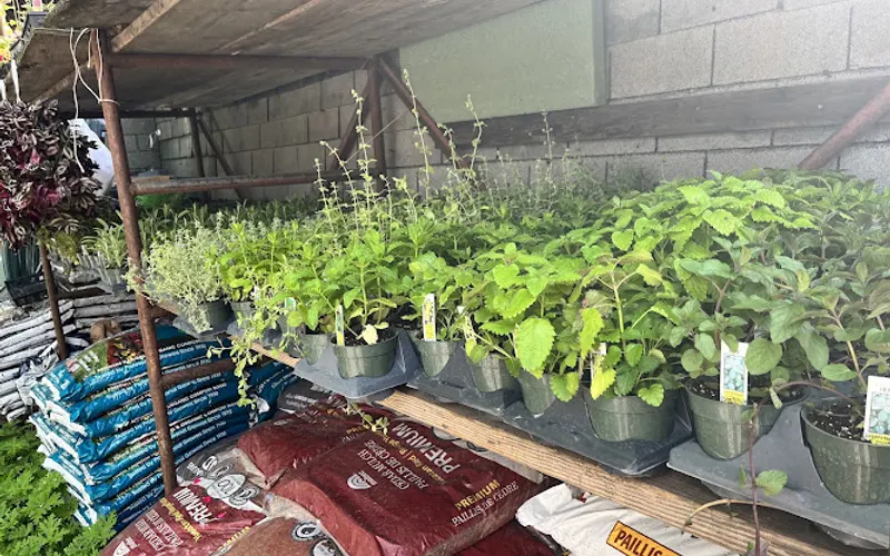 J & L Landscaping — Plant nursery