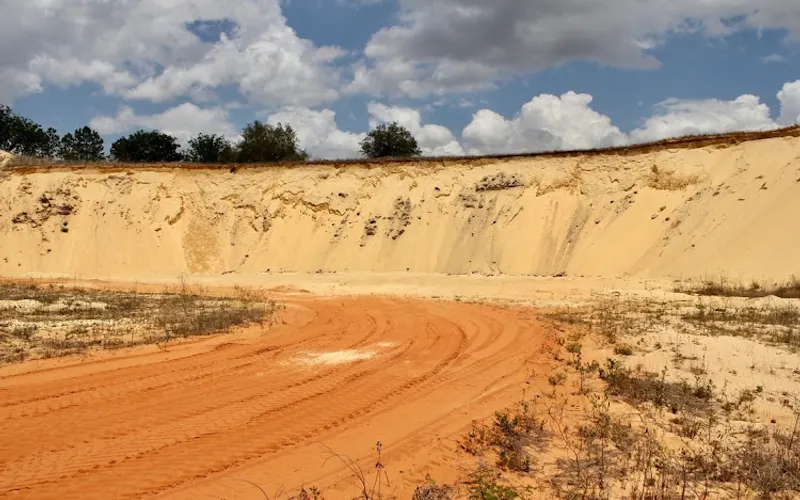 HIGHLAND SAND​ FILL DIRT & PALMS — Dirt supplier
