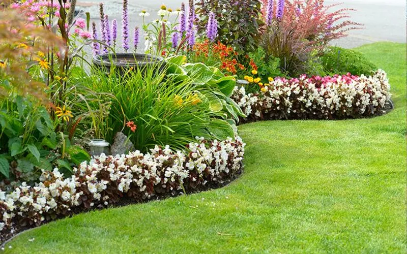 Livin' Green — Landscaper