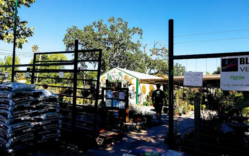 Bay Laurel Garden Center — Garden center