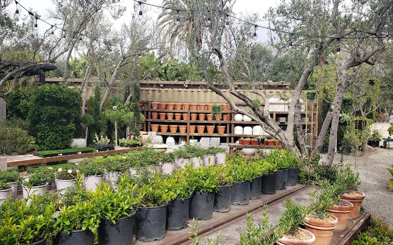 The Nursery by Southwinds — Garden center