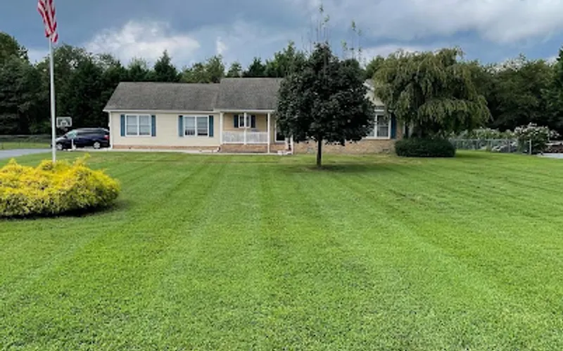 Platinum Lawn Service — Landscaper