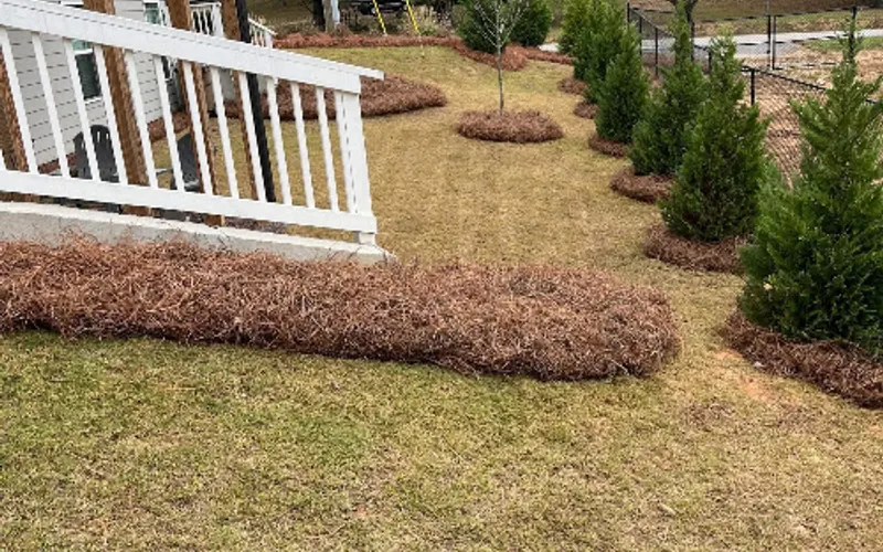 Georgia's Finest Pine Straw — Landscaping supply store