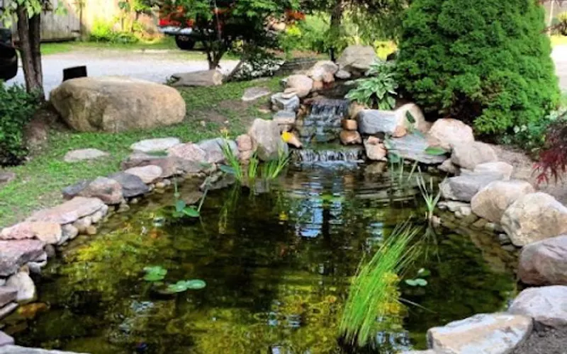 Fantasiascape Landscape — Landscape designer