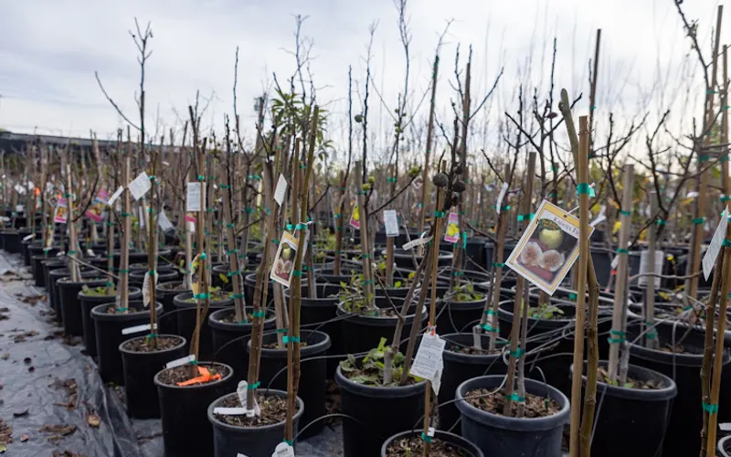 C&J Gardening Center — Garden center