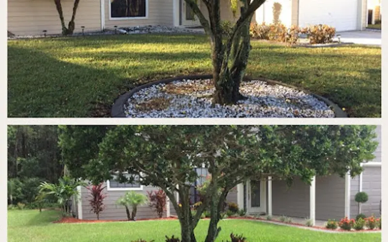 Sunset Services — Lawn care service
