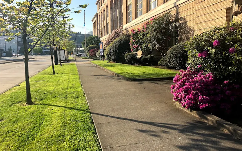 Mago Landscaping Services — Lawn care service