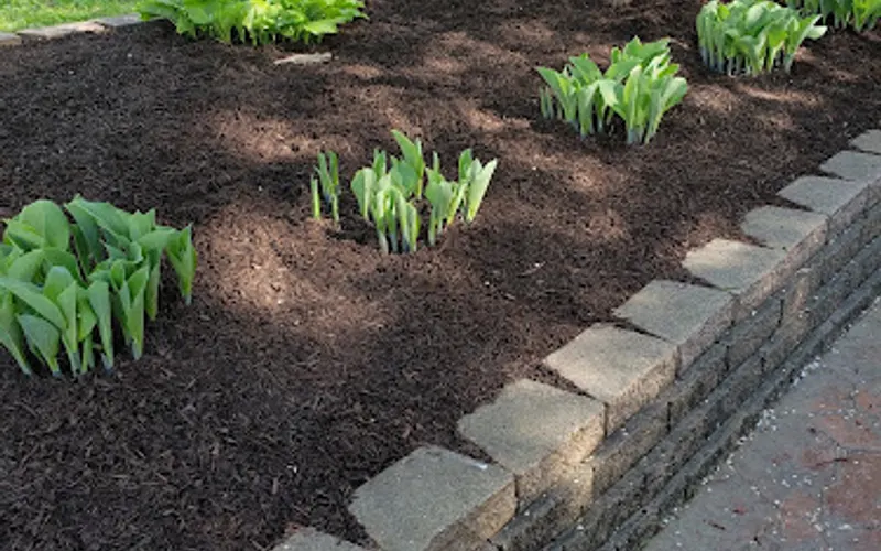 D P Randler Mulch Outlet — Landscaper
