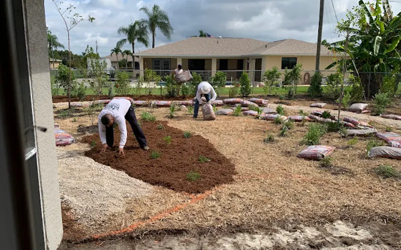 All Native Garden Center & Plant — Garden center