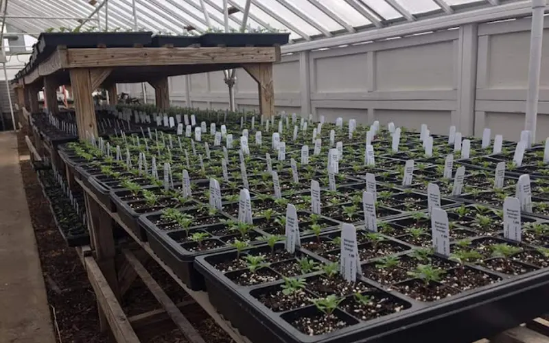Cherry Valley Garden Center — Garden center
