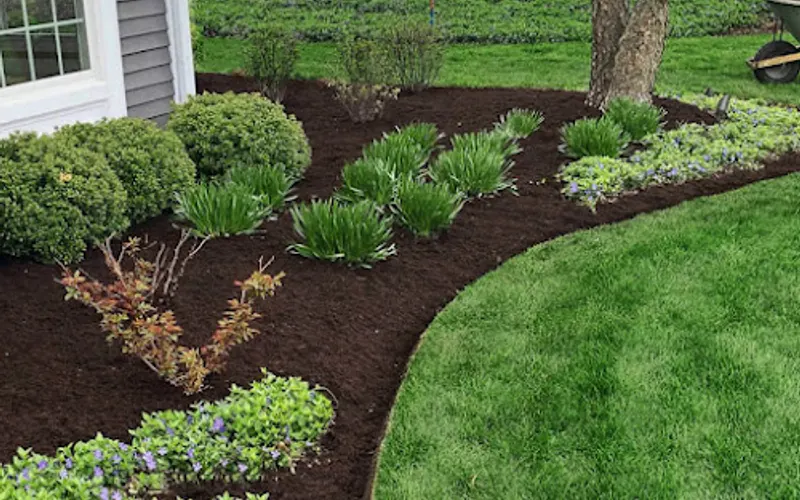 Level Up and Prevail landscape — Landscaper