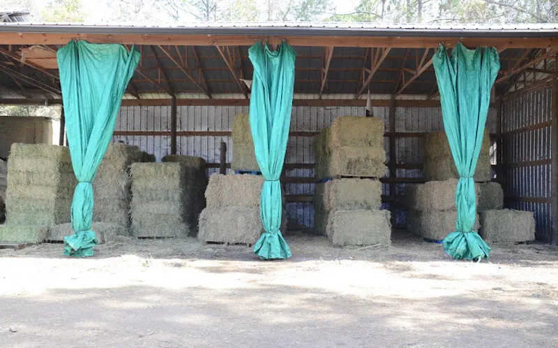Russell's Feed & Farm Supply — Animal feed store