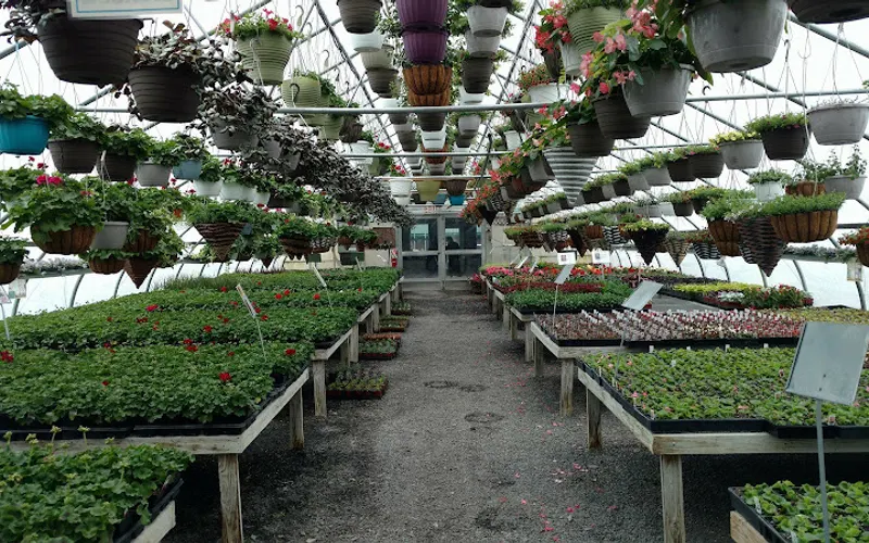 Breezy Acre Flowers — attractions