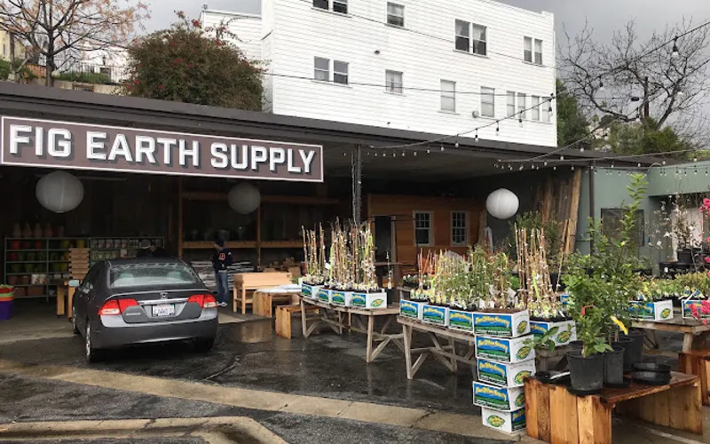 Fig Earth Supply — Plant nursery