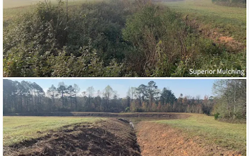Superior Mulching — Forestry service