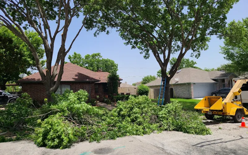 FUENTES TREE SERVICES — Tree service