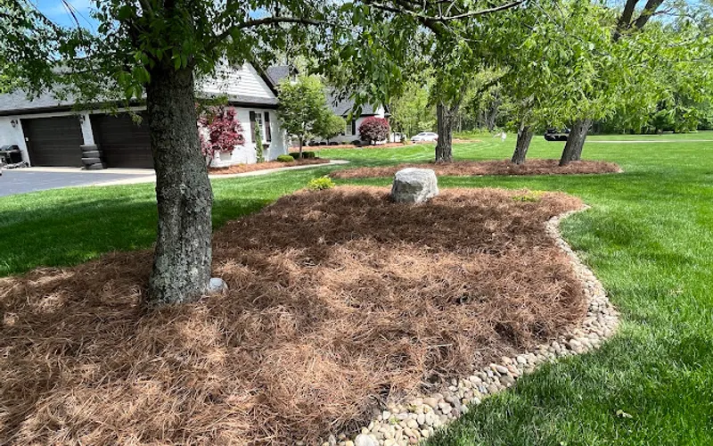 Cincinnati Pine Straw Mulch — Mulch supplier