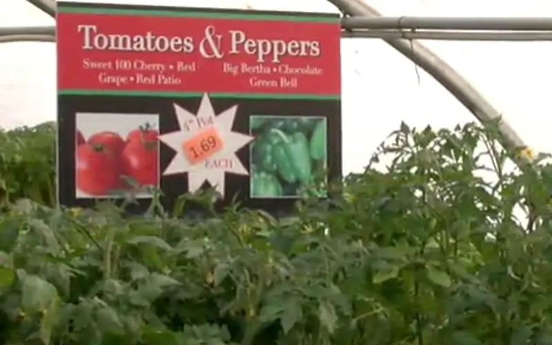Joyce's Greenery — Garden center