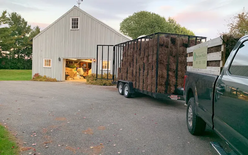 New England Pine Straw Mulch — Mulch supplier
