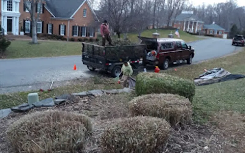 Desy General Contractor, LLC — Landscaper