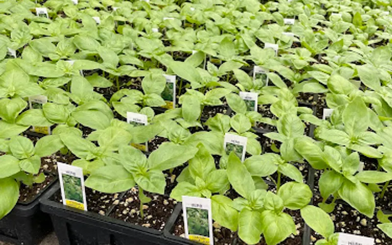 Seasons of New England Gardens & Gifts — Garden center