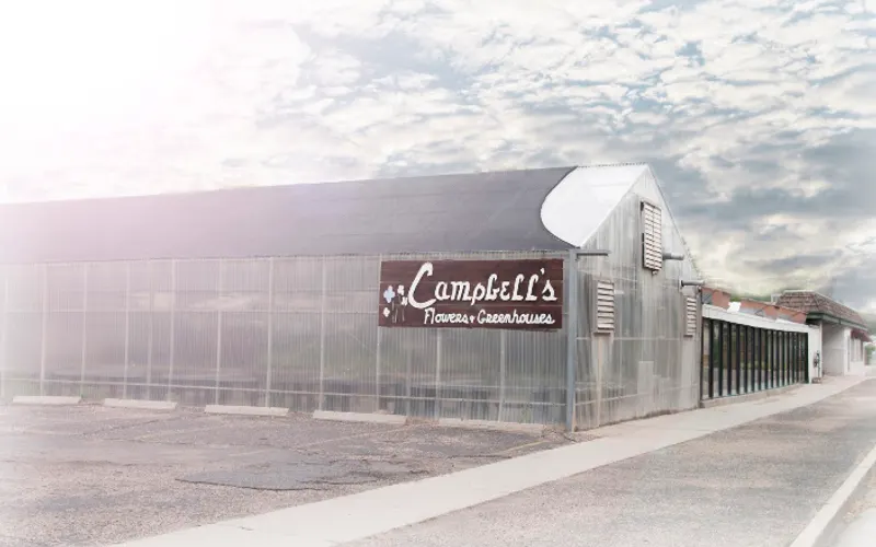 Campbell's Flowers & Greenhouses — Florist