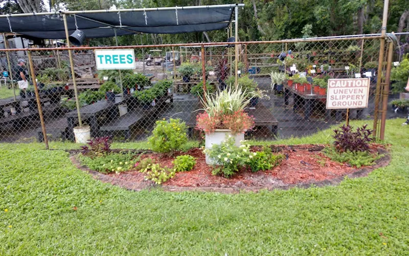 St Joe Rent-All Nursery Supply — Tool store