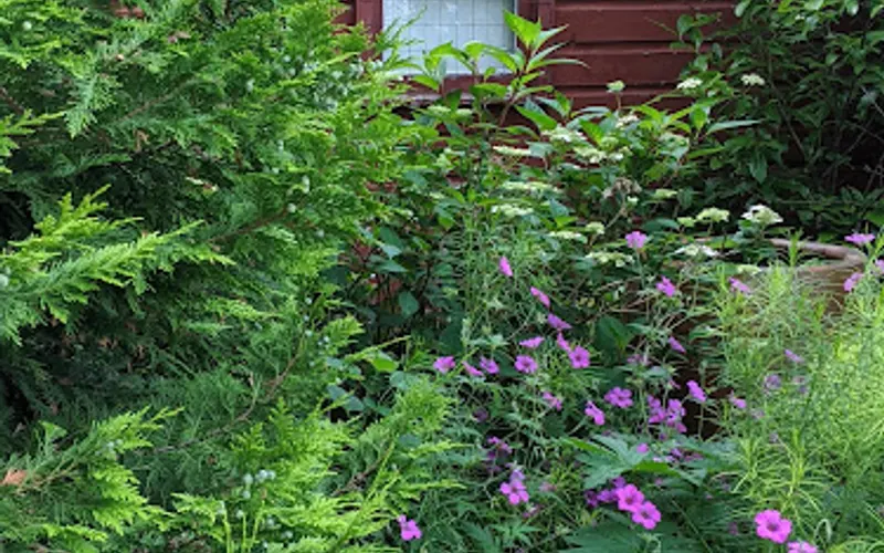 Artful Gardener LLC — Gift shop