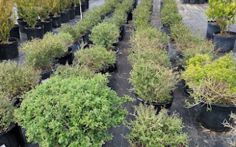 Riverside Botanicals — Landscaping supply store