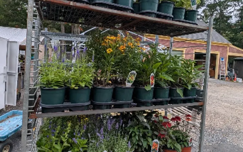 Soares Flower Garden Nursery — Garden center