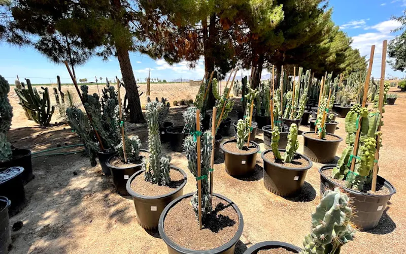 Jackrabbit Nursery — Plant nursery