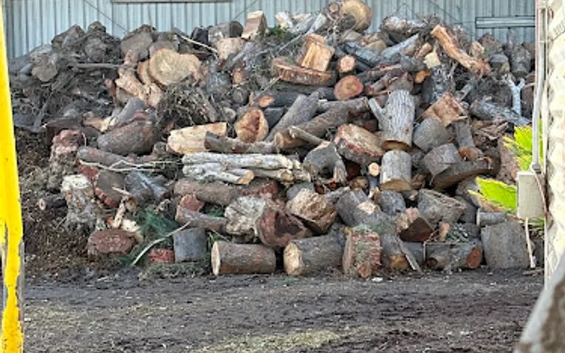 J.Ruiz Landscaping supply/dump/dompe — Waste management service