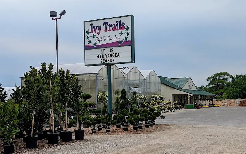 Ivy Trails Gift & Garden — Garden center